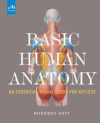 Basic human anatomy for sale  Delivered anywhere in UK