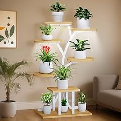 Minenice stand plante d'occasion  Livré partout en France