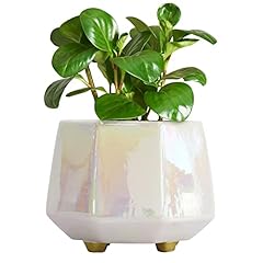 Yqslysf inch ceramic for sale  Delivered anywhere in USA 