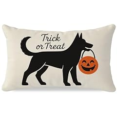Pandicorn halloween pillow for sale  Delivered anywhere in USA 