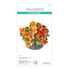 Spellbinders nasturtium galvan for sale  Delivered anywhere in USA 