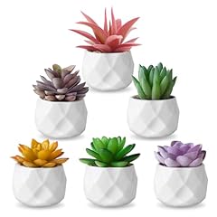 Zinho fake succulent for sale  Delivered anywhere in USA 
