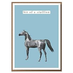 Bit stallion. funny for sale  Delivered anywhere in UK