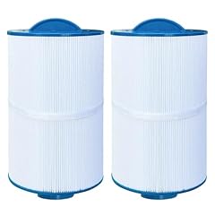 Chryseos spa filter for sale  Delivered anywhere in USA 
