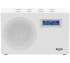 Bush radio compatta usato  Spedito ovunque in Italia 