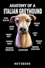 Anatomy italian greyhound for sale  Delivered anywhere in UK