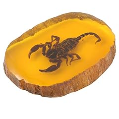 Imikeya amber fossil for sale  Delivered anywhere in USA 