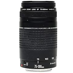 Canon 300mm 5.6 for sale  Delivered anywhere in USA 