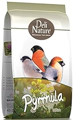 Birdelicious pyrrhula bouvreui d'occasion  Livré partout en Belgiqu