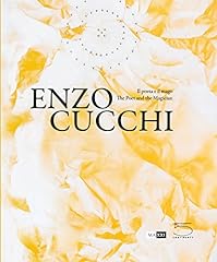 Enzo cucchi. poeta usato  Spedito ovunque in Italia 