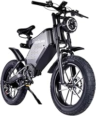 Recegara electric bicycle for sale  Delivered anywhere in UK