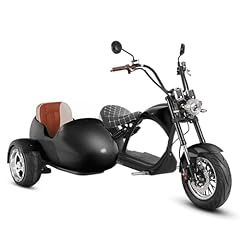 Eahora m1p sidecar for sale  Delivered anywhere in USA 