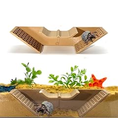 Hermit crab underground for sale  Delivered anywhere in USA 