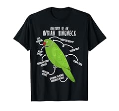 Indian ringneck parrot for sale  Delivered anywhere in USA 