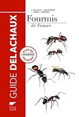 Fourmis 100 espèces d'occasion  Livré partout en France