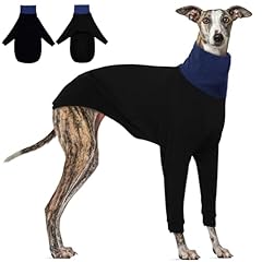Dentrun italian greyhounds for sale  Delivered anywhere in USA 