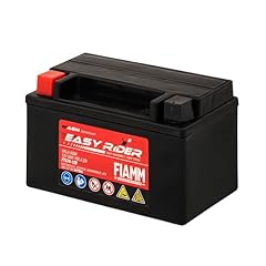 Fiamm batteria per usato  Spedito ovunque in Italia 