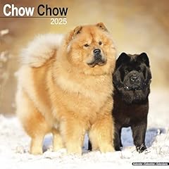 Chow chow 2025 gebraucht kaufen  Wird an jeden Ort in Deutschland