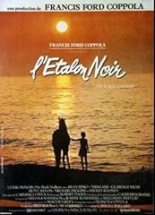 étalon noir black d'occasion  Livré partout en Belgiqu
