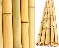 10er set bambusrohre gebraucht kaufen  Wird an jeden Ort in Deutschland
