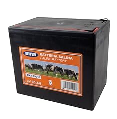 Ama batteria per usato  Spedito ovunque in Italia 