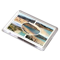 Fridge magnet vintage for sale  Delivered anywhere in UK