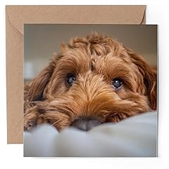 Greeting card brown for sale  Delivered anywhere in UK