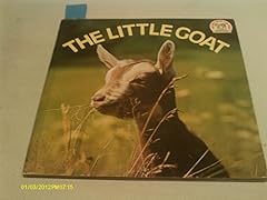 Little goat for sale  Delivered anywhere in USA 