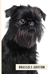 Brussels griffon funny for sale  Delivered anywhere in UK