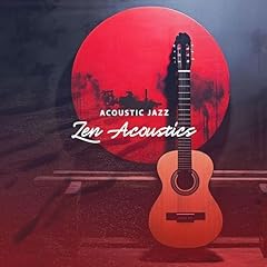 Zen acoustics usato  Spedito ovunque in Italia 