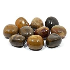 Crystalage fossil wood for sale  Delivered anywhere in UK