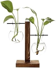 Hydroponic plant vases for sale  Delivered anywhere in USA 