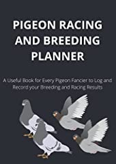 Pigeon racing breeding for sale  Delivered anywhere in UK