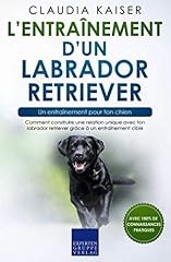 Entraînement labrador retriev d'occasion  Livré partout en France