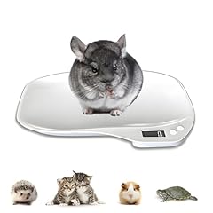 Digital small animals for sale  Delivered anywhere in USA 