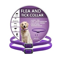 Pcs dog collars for sale  Delivered anywhere in UK