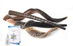 Sale shofars kudu for sale  Delivered anywhere in USA 