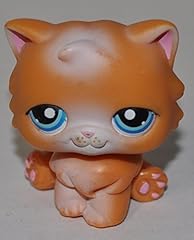 Persian kitten 153 for sale  Delivered anywhere in USA 