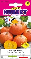 Graines potimarron orange d'occasion  Livré partout en France