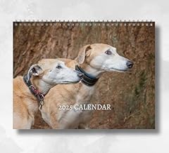 Lurcher calendar 2025 for sale  Delivered anywhere in Ireland