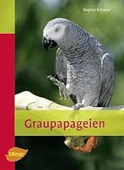Graupapageien gebraucht kaufen  Wird an jeden Ort in Deutschland