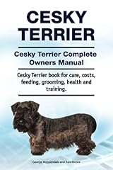Cesky terrier. cesky for sale  Delivered anywhere in UK
