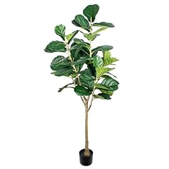 Fiddle leaf fig for sale  Delivered anywhere in USA 