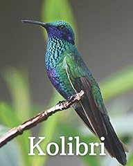Kolibri bilderbuch kolibris gebraucht kaufen  Wird an jeden Ort in Deutschland