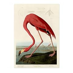 American flamingo poster for sale  Delivered anywhere in UK