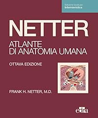 Netter. atlante anatomia usato  Spedito ovunque in Italia 