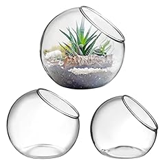 Pcs glass terrarium for sale  Delivered anywhere in USA 