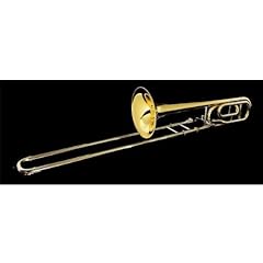 Grassi trb210 trombone usato  Spedito ovunque in Italia 