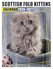 Scottish fold kittens for sale  Delivered anywhere in USA 