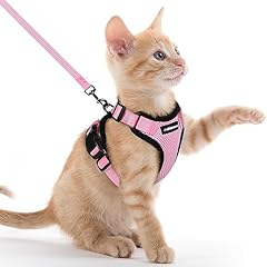 Rabbitgoo cat harness for sale  Delivered anywhere in USA 
